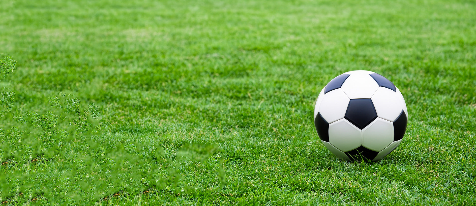 Soccer